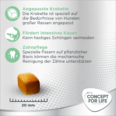 Angepasste Krokette für grosse Hunderassen, fördert intensives Kauen und unterstützt Zahnpflege durch pflanzliche Fasern. Grösse: 20 mm. Marke: Concept for Life.