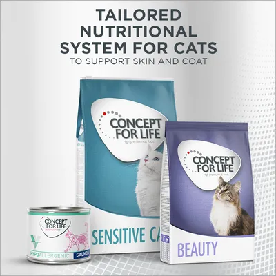 Concept for Life cat food range: Sensitive Cats dry food, Beauty dry food, Hypoallergenic Salmon wet food. Text: Tailored nutritional system for cats to support skin and coat.
