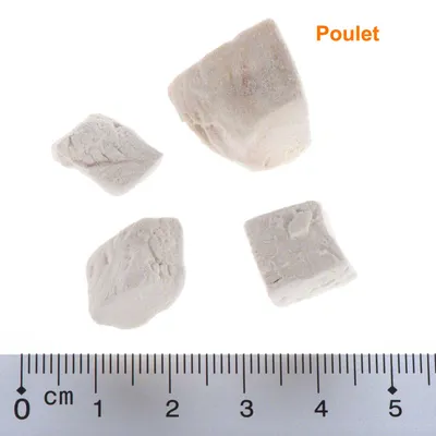 Morceaux de friandises lyophilisées, étiquette « Poulet » en orange, règle en centimètres montrant des morceaux de 1 à 3 cm.
