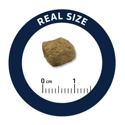 Bucată de hrană uscată pentru animale, prezentată la dimensiune reală, cu riglă gradată de la 0 la 1 cm și textul „REAL SIZE” în partea superioară.