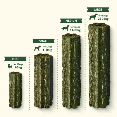 Four chew sizes shown: mini for dogs 1-5kg, small for dogs 6-10kg, medium for dogs 11-25kg, large for dogs 26-35kg. Each size is visually compared side by side.