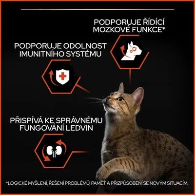 Podporuje řídicí mozkové funkce, podporuje odolnost imunitního systému, přispívá ke správnému fungování ledvin. Logické myšlení, řešení problémů, paměť a přizpůsobení se novým situacím.