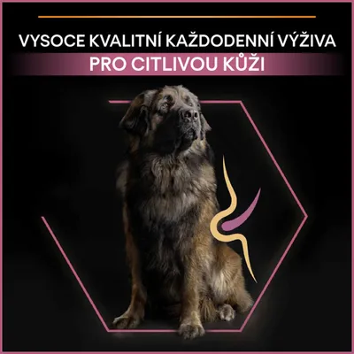 Vysocé kvalitní každodenní výživa pro citlivou kůži. Obrázek psa s grafickým prvkem na boku.