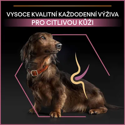 Text: VYSOCE KVALITNÍ KAŽDODENNÍ VÝŽIVA PRO CITLIVOU KŮŽI. Pes s grafickým znázorněním na těle, černé pozadí.