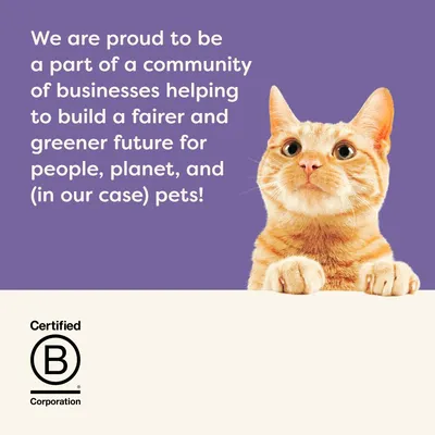 Tekst w języku angielskim: We are proud to be a part of a community of businesses helping to build a fairer and greener future for people, planet, and (in our case) pets! Certified B Corporation.