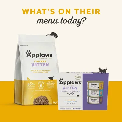 Confezione di crocchette Applaws Chicken Kitten 2 kg e scatola Applaws Kitten Variety Selection in Jelly 6×70 g, visibili scritte: grain free, 80% carne, ipoallergenico, fino a 12 mesi.