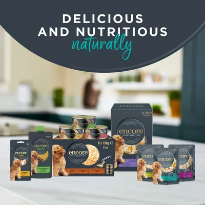 Encore Dog Tin in Broth Saver Pack 32 x 156g