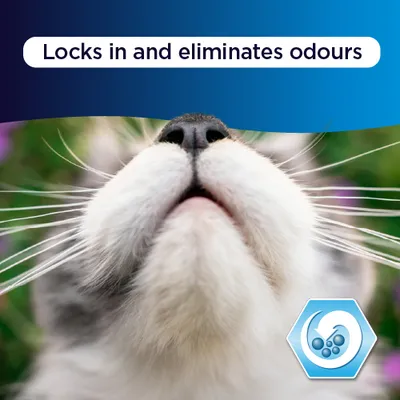 Ever Clean® Extra Strong Clumping Cat Litter - Unscented