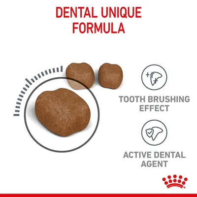 Tørfoderpiller med teksten DENTAL UNIQUE FORMULA, TOOTH BRUSHING EFFECT og ACTIVE DENTAL AGENT. Illustrationer af tandbørstning og tandpleje. Tekst på engelsk.