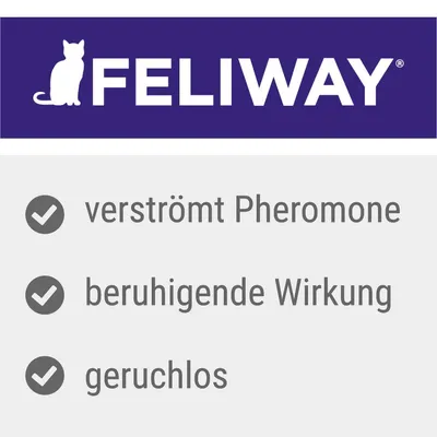 Feliway. Releases pheromones, calming effect, odourless.
