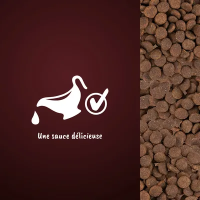 Texte visible : « Une sauce délicieuse » avec une carafe de sauce stylisée et un check, à côté de croquettes marron. Texte en français (fr_BE).