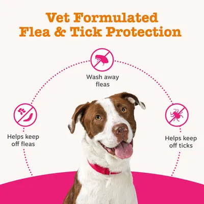 Zesty Paws Flea & Tick Shampoo - 250ml