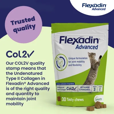 Flexadin Advanced Joint Care Supplement for Cats - 60 Chews Flexadin Advanced Joint Care Supplement for Cats - 60 Chews