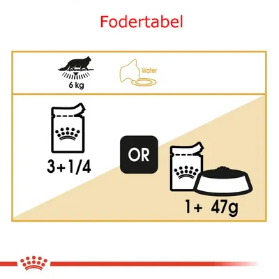Fodertabel for kat på 6 kg: enten 3 og 1/4 poser vådfoder eller 1 pose vådfoder plus 47 g tørfoder. Vand anbefales. Synlige Royal Canin ikoner.