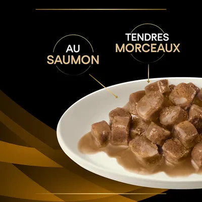Assiette de tendres morceaux en sauce, texte visible : « au saumon », « tendres morceaux »