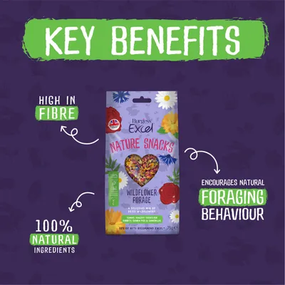 Burgess Excel Nature Snacks Wildflower Forage - 75g