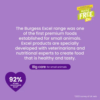 Burgess Excel Chinchilla Nuggets with Mint - 1.5kg Burgess Excel Chinchilla Nuggets with Mint - 1.5kg