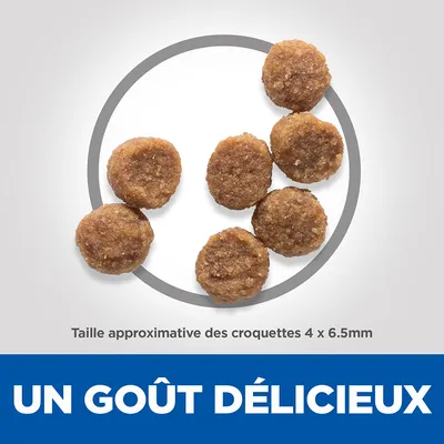 Taille approximative des croquettes 4 x 6,5 mm. Texte en bas : UN GOÛT DÉLICIEUX.