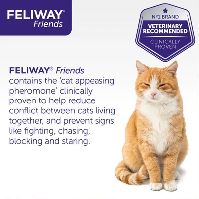 FELIWAY Friends contains cat appeasing pheromone, clinically proven to reduce conflict between cats living together and prevent fighting, chasing, blocking and staring. Veterinary recommended.