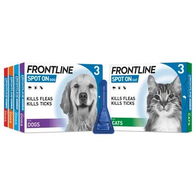 Frontline Spot On packs for dogs and cats, each stating kills fleas and ticks, with a blue applicator shown in front of the boxes.