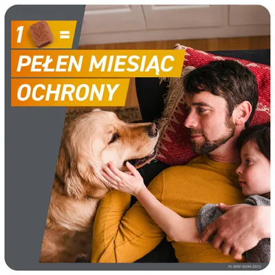 FRONTPRO® tabletki na pchły i kleszcze dla psów