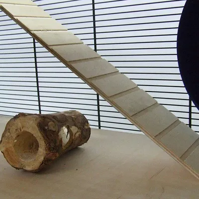 Holzrampe mit Rillen und hohler Holzstamm auf einer glatten Oberfläche, Hintergrund aus Metallgitter.