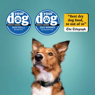 Awards shown: 2025 Highly Commended Best Wet Food, 2025 Winner Best Specialist Food, and quote 'Best dry dog food, 10 out of 10' from The Telegraph.