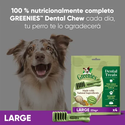 GREENIES Dental Chew Large 23 kg+, paquete de 4 unidades. Made with Natural Ingredients. Dental Treats: ayuda a reducir placa y sarro, desarrollado con veterinarios, 100 % completo.