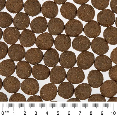 Detailný záber na hnedé, okrúhle kúsky suchého krmiva s mierkou v centimetroch na určenie veľkosti.
