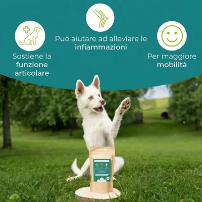 Wolfsbacher Natur Compresse per le articolazioni Wolfsbacher Natur Compresse per le articolazioni