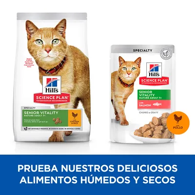 Hill's Science Plan Senior Vitality Mature Adult 7+ para gatos, variedad con pollo y arroz y con salmón. Prueba nuestros deliciosos alimentos húmedos y secos.