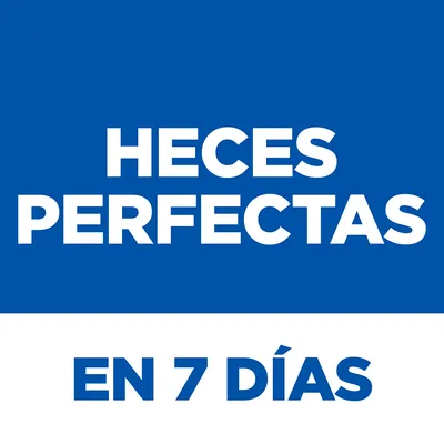 Heces perfectas en 7 días