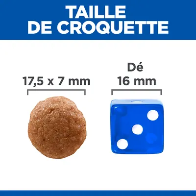 Taille de croquette : 17,5 x 7 mm à côté d’un dé bleu de 16 mm pour comparaison visuelle
