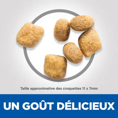 Croquettes d’environ 11 x 7 mm, texte : UN GOÛT DÉLICIEUX.