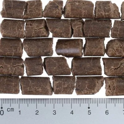 Morceaux cylindriques de friandises brunes alignés au-dessus d’une règle graduée en centimètres, montrant une longueur d’environ 2 cm par morceau.