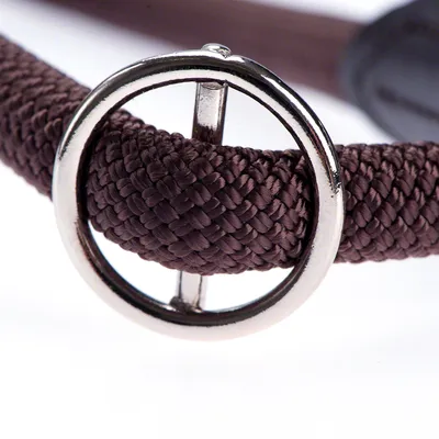 Gros plan sur une boucle métallique ronde fixée à une sangle tressée marron, détail d’un collier ou d’une laisse pour animal de compagnie.