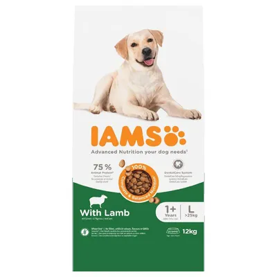 IAMS Advanced Nutrition Adult Large Dog med lam