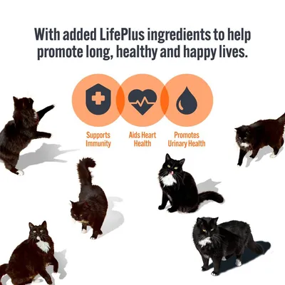 HiLife Cat Luxury Selection 12 x 70g HiLife Cat Luxury Selection 12 x 70g