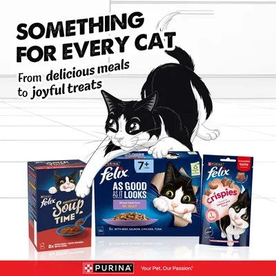 Felix Senior As Good As It Looks Mega Pack 120 x 85g - Mixed Selection in Jelly (Beef, Chicken, Salmon, Tuna)