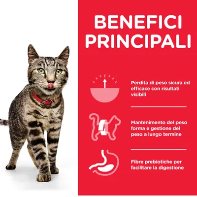 BENEFICI PRINCIPALI: perdita di peso sicura ed efficace con risultati visibili, mantenimento del peso forma e gestione del peso a lungo termine, fibre prebiotiche per facilitare la digestione.