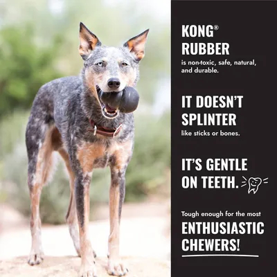 KONG Rubber: netoxický, bezpečný, prírodný a odolný. Neštiepi sa, šetrný k zubom, vhodný pre veľmi aktívne žuvajúce zvieratá. KONG Rubber: netoxický, bezpečný, prírodný a odolný. Neštiepi sa, šetrný k zubom, vhodný pre veľmi aktívne žuvajúce zvieratá.