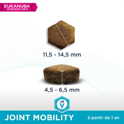 Croquette Eukanuba Veterinary Diets Joint Mobility, dimensions visibles : 11,5–14,5 mm de large, 4,5–6,5 mm d’épaisseur, à partir de 1 an. Marque et texte visibles sur l’image.