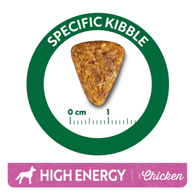 Libra Dog High Energy s kuracím