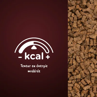 Croquettes en gros plan, texte visible : « - kcal + Teneur en énergie modérée » avec un graphique indiquant une énergie modérée.