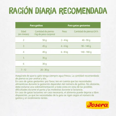 Tabla de ración diaria recomendada Josera: para gatitos según edad y peso, para gatas gestantes según peso. Incluye cantidades en gramos y consejos sobre agua y alimentación.