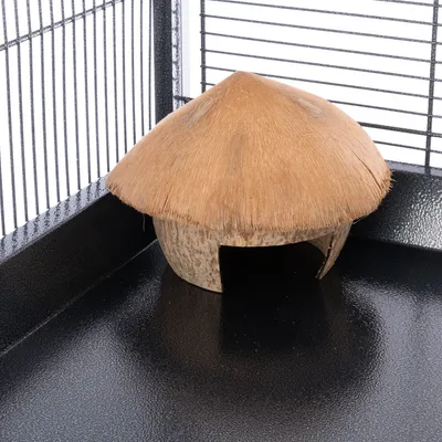 Abri pour rongeur en demi-noix de coco avec ouverture, posé dans un coin de cage à barreaux métalliques noirs. Matériau visible : coque de noix de coco.