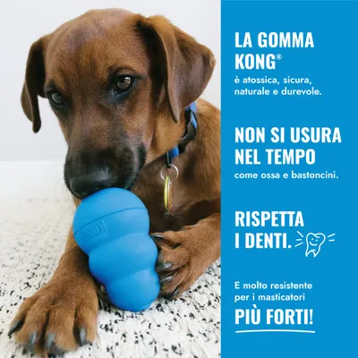 KONG Puppy