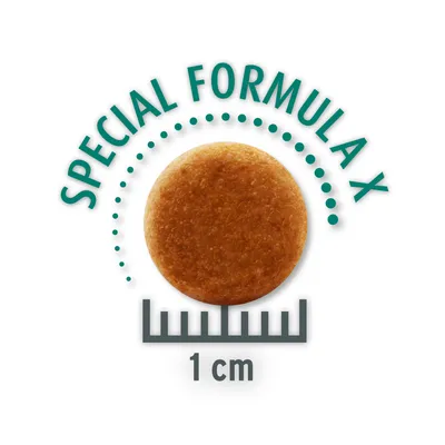 Croquette ronde, diamètre 1 cm, texte visible : SPECIAL FORMULA X.