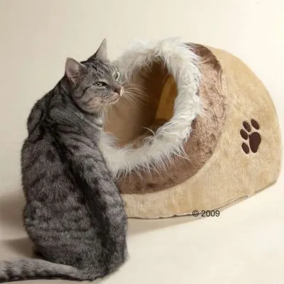 Gatto grigio seduto accanto a una cuccia imbottita beige e marrone con bordo in pelliccia sintetica bianca e impronta di zampa marrone visibile sul lato.