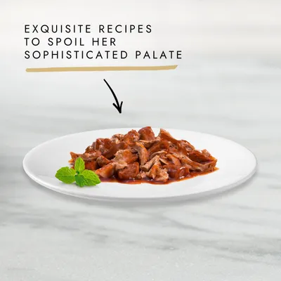 Plate of meat in sauce with mint garnish, accompanied by text: Exquisite recipes to spoil her sophisticated palate.